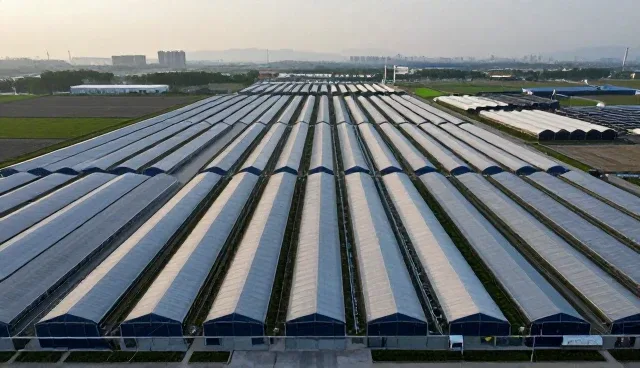 企业运营中会务服务与管理咨询的协同实践