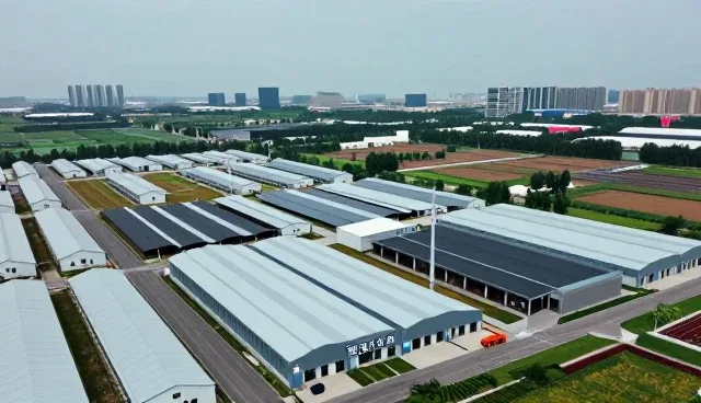 团队协作在会务服务中的场景化应用